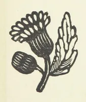 An illustration from Real Sailor-Songs. Collected and edited by J. Ashton. Two hundred illustrations. [Reproductions of broadsheets (1891)