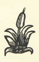 An illustration from Real Sailor-Songs. Collected and edited by J. Ashton. Two hundred illustrations. [Reproductions of broadsheets (1891)