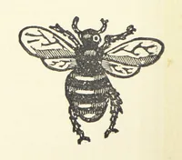 An illustration from Real Sailor-Songs. Collected and edited by J. Ashton. Two hundred illustrations. [Reproductions of broadsheets (1891)