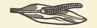 An illustration from Real Sailor-Songs. Collected and edited by J. Ashton. Two hundred illustrations. [Reproductions of broadsheets (1891)