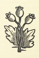 An illustration from Real Sailor-Songs. Collected and edited by J. Ashton. Two hundred illustrations. [Reproductions of broadsheets (1891)