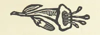 An illustration from Real Sailor-Songs. Collected and edited by J. Ashton. Two hundred illustrations. [Reproductions of broadsheets (1891)