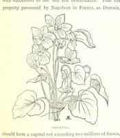 An illustration from Social England under the Regency ... With ... illustrations (1890)