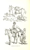 Picture 32 of 55 from Social England under the Regency ... With ... illustrations (1890), leaf 280