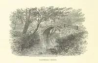 Picture 63 of 120 from The History of Cleveland, ancient and modern. vol. 1, 2 (1872), leaf 338