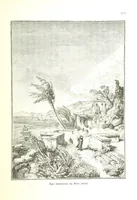 An illustration from Az Osztrák-Magyar Monarchia irásban és képben. Rudolf trónörökös főherczeg Ő ... fensége kezdeményezéséből és közremunkálásával. (Die deutsche Ausgabe redigirt ... J. von Weilen, die ungarische M. Jókai.) Hung (1885)