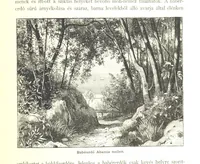 An illustration from Az Osztrák-Magyar Monarchia irásban és képben. Rudolf trónörökös főherczeg Ő ... fensége kezdeményezéséből és közremunkálásával. (Die deutsche Ausgabe redigirt ... J. von Weilen, die ungarische M. Jókai.) Hung (1885)