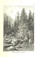 An illustration from Az Osztrák-Magyar Monarchia irásban és képben. Rudolf trónörökös főherczeg Ő ... fensége kezdeményezéséből és közremunkálásával. (Die deutsche Ausgabe redigirt ... J. von Weilen, die ungarische M. Jókai.) Hung (1885)