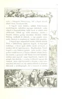 An illustration from Az Osztrák-Magyar Monarchia irásban és képben. Rudolf trónörökös főherczeg Ő ... fensége kezdeményezéséből és közremunkálásával. (Die deutsche Ausgabe redigirt ... J. von Weilen, die ungarische M. Jókai.) Hung (1885)