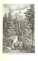 An illustration from Az Osztrák-Magyar Monarchia irásban és képben. Rudolf trónörökös főherczeg Ő ... fensége kezdeményezéséből és közremunkálásával. (Die deutsche Ausgabe redigirt ... J. von Weilen, die ungarische M. Jókai.) Hung (1885)