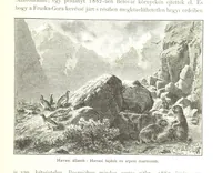 An illustration from Az Osztrák-Magyar Monarchia irásban és képben. Rudolf trónörökös főherczeg Ő ... fensége kezdeményezéséből és közremunkálásával. (Die deutsche Ausgabe redigirt ... J. von Weilen, die ungarische M. Jókai.) Hung (1885)