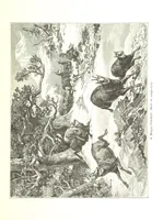 An illustration from Az Osztrák-Magyar Monarchia irásban és képben. Rudolf trónörökös főherczeg Ő ... fensége kezdeményezéséből és közremunkálásával. (Die deutsche Ausgabe redigirt ... J. von Weilen, die ungarische M. Jókai.) Hung (1885)