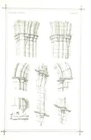 Picture 8 of 37 from The History of Roche Abbey (Yorkshire), from its foundation to its dissolution. L.P (1870), leaf 29