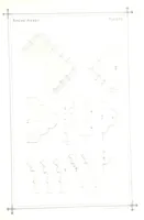 Picture 20 of 37 from The History of Roche Abbey (Yorkshire), from its foundation to its dissolution. L.P (1870), leaf 51