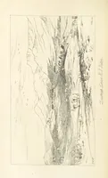 Picture 8 of 43 from A Narrative of a Visit to the Mauritius and South Africa ... Illustrated by two maps, sixteen etchings and twenty-eight wood-cuts (1844), leaf 138