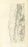 Picture 12 of 43 from A Narrative of a Visit to the Mauritius and South Africa ... Illustrated by two maps, sixteen etchings and twenty-eight wood-cuts (1844), leaf 386