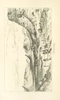 An illustration from A Narrative of a Visit to the Mauritius and South Africa ... Illustrated by two maps, sixteen etchings and twenty-eight wood-cuts (1844)