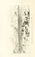An illustration from A Narrative of a Visit to the Mauritius and South Africa ... Illustrated by two maps, sixteen etchings and twenty-eight wood-cuts (1844)