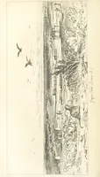 Picture 29 of 43 from A Narrative of a Visit to the Mauritius and South Africa ... Illustrated by two maps, sixteen etchings and twenty-eight wood-cuts (1844), leaf 496