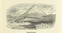 Picture 35 of 43 from A Narrative of a Visit to the Mauritius and South Africa ... Illustrated by two maps, sixteen etchings and twenty-eight wood-cuts (1844), leaf 597
