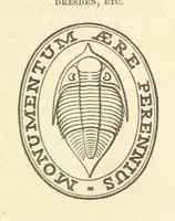 Picture 3 of 63 from Figures of Characteristic British Fossils: with descriptive remarks. vol. 1. Palæozoic (1867), leaf 15