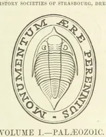 Picture 2 of 63 from Figures of Characteristic British Fossils: with descriptive remarks. vol. 1. Palæozoic (1867), leaf 7