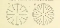 An illustration from Figures of Characteristic British Fossils: with descriptive remarks. vol. 1. Palæozoic (1867)