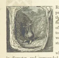 An illustration from History of the County Palatine and Duchy of Lancaster ... The biographical department by W. R. Whatton, Esq. (History of the cotton manufacture [by Edward Baines Jun.]) [With plates (1836)