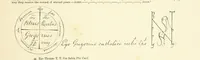 An illustration from History of the County Palatine and Duchy of Lancaster ... The biographical department by W. R. Whatton, Esq. (History of the cotton manufacture [by Edward Baines Jun.]) [With plates (1888)