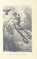 An illustration from Vikram and Vampire; or, Tales of Hindu devilry. Adapted by Captain Sir Richard F. Burton [from the Baitāl-Pachīsī] ... Edited by his wife, Isabel Burton ... With thirty-three illustrations by Ernest Griset (1893)