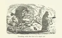 An illustration from Vikram and Vampire; or, Tales of Hindu devilry. Adapted by Captain Sir Richard F. Burton [from the Baitāl-Pachīsī] ... Edited by his wife, Isabel Burton ... With thirty-three illustrations by Ernest Griset (1893)