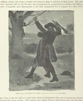 Picture 25 of 37 from The Lumley Wood Mystery ... Illustrated by J. B. Partridge (1890), leaf 64