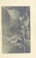 An illustration from With a geological map (1846)