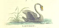 An illustration from The History of New South Wales, including Botany Bay, Port Jackson, Pamaratta [sic], Sydney, and all its dependancies ... with the customs and manners of the natives, and an account of the English colony, from its foundation to the present time ... Enriched with ... coloured prints (1810)