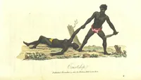 An illustration from The History of New South Wales, including Botany Bay, Port Jackson, Pamaratta [sic], Sydney, and all its dependancies ... with the customs and manners of the natives, and an account of the English colony, from its foundation to the present time ... Enriched with ... coloured prints (1810)