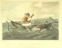 Picture 8 of 21 from A Voyage to Cochin China, in the years 1792, and 1793: containing a general view of the productions, and political importance of this kingdom; and also of such European settlements as were visited on the voyage, with sketches of the manners, character, and condition of their inhabitants. To which is annexed an account of a journey, made in the years 1801 and 1802, to the residence of the chief of the Booshuana nation ... from a manuscript journal [by - Truter] with a chart of the route, etc (1806), leaf 203