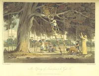 Picture 16 of 21 from A Voyage to Cochin China, in the years 1792, and 1793: containing a general view of the productions, and political importance of this kingdom; and also of such European settlements as were visited on the voyage, with sketches of the manners, character, and condition of their inhabitants. To which is annexed an account of a journey, made in the years 1801 and 1802, to the residence of the chief of the Booshuana nation ... from a manuscript journal [by - Truter] with a chart of the route, etc (1806), leaf 385
