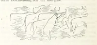 An illustration from Reisen und Entdeckungen in Nord- und Central-Afrika in den Jahren 1849 bis 1855. Von Dr. H. Barth. Tagebuch seiner im Auftrag der Brittischen Regierung unternommenen Reise ... Mit Karten, Holzschnitten und Bildern. L.P (1857)