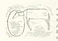 An illustration from Reisen und Entdeckungen in Nord- und Central-Afrika in den Jahren 1849 bis 1855. Von Dr. H. Barth. Tagebuch seiner im Auftrag der Brittischen Regierung unternommenen Reise ... Mit Karten, Holzschnitten und Bildern. L.P (1857)