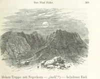 Picture 49 of 71 from Reisen und Entdeckungen in Nord- und Central-Afrika in den Jahren 1849 bis 1855. Von Dr. H. Barth. Tagebuch seiner im Auftrag der Brittischen Regierung unternommenen Reise ... Mit Karten, Holzschnitten und Bildern. L.P (1857), leaf 431