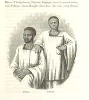 Picture 1 of 50 from Reisen und Entdeckungen in Nord- und Central-Afrika in den Jahren 1849 bis 1855. Von Dr. H. Barth. Tagebuch seiner im Auftrag der Brittischen Regierung unternommenen Reise ... Mit Karten, Holzschnitten und Bildern. L.P (1857), leaf 29