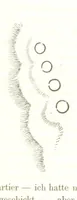 An illustration from Reisen und Entdeckungen in Nord- und Central-Afrika in den Jahren 1849 bis 1855. Von Dr. H. Barth. Tagebuch seiner im Auftrag der Brittischen Regierung unternommenen Reise ... Mit Karten, Holzschnitten und Bildern. L.P (1857)