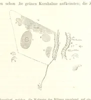 An illustration from Reisen und Entdeckungen in Nord- und Central-Afrika in den Jahren 1849 bis 1855. Von Dr. H. Barth. Tagebuch seiner im Auftrag der Brittischen Regierung unternommenen Reise ... Mit Karten, Holzschnitten und Bildern. L.P (1857)