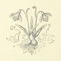 An illustration from Beaten at the Finish; or, Love and adventure in the hunting field (1899)