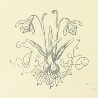 An illustration from Beaten at the Finish; or, Love and adventure in the hunting field (1899)