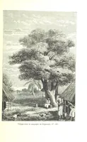 An illustration from A travers le Zanguebar. Voyage ... Par les PP. Baur et Le Roy ... Orné de 45 gravures ... Deuxième édition (1887)