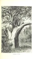 An illustration from A travers le Zanguebar. Voyage ... Par les PP. Baur et Le Roy ... Orné de 45 gravures ... Deuxième édition (1887)