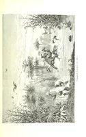 An illustration from A travers le Zanguebar. Voyage ... Par les PP. Baur et Le Roy ... Orné de 45 gravures ... Deuxième édition (1887)