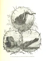 An illustration from A travers le Zanguebar. Voyage ... Par les PP. Baur et Le Roy ... Orné de 45 gravures ... Deuxième édition (1887)