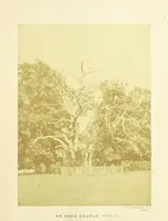 Picture 5 of 14 from Moor Park, with a biographical sketch of its principal proprietors ... Illustrated with photographs (1871), leaf 25